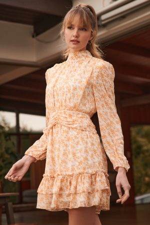 long sleeve ruffled tier mini dress